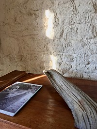 l' exposition le soir