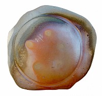 cercles en mouvement